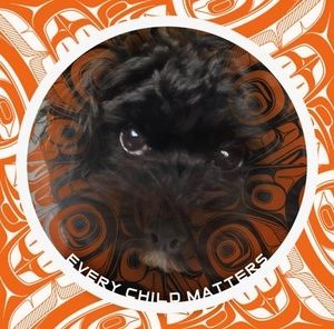 Meet your Posher, Sherri